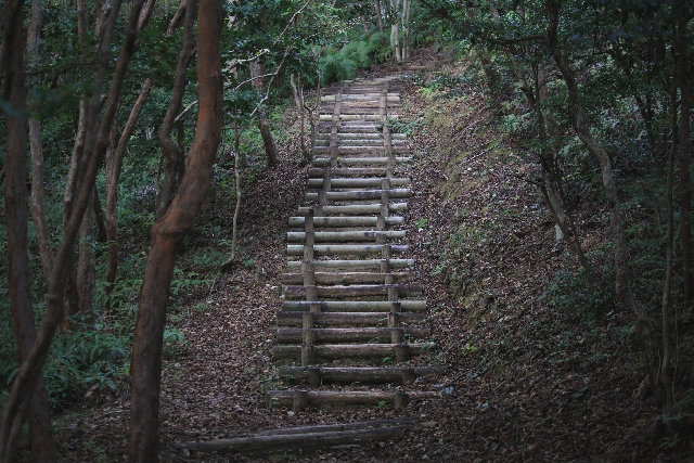 森林公園の階段