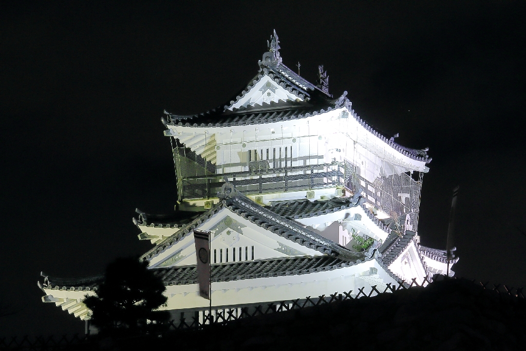 夜の浜松城天守閣
