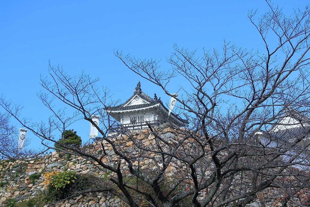 浜松城天守閣と石垣
