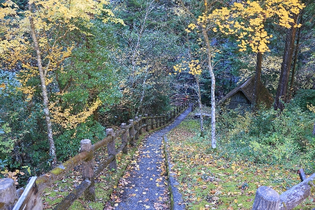 白倉峡 上流側入口の遊歩道
