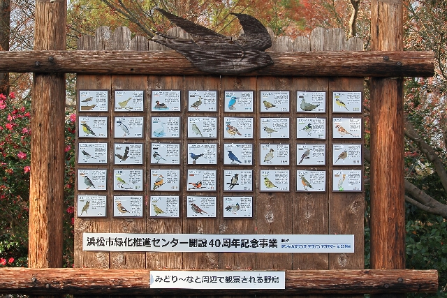 野鳥の説明板
