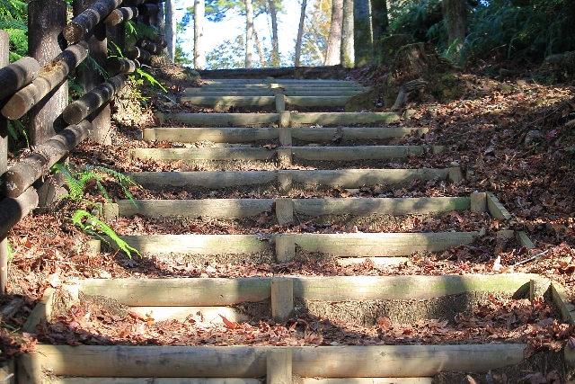 森林公園内の階段