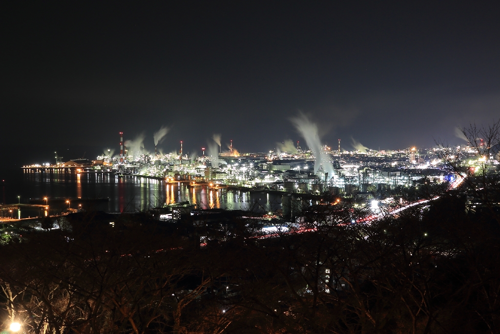 亀居公園からの夜景の全景