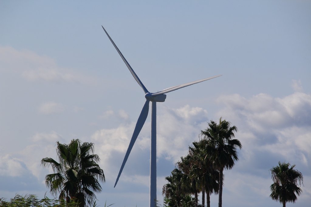 天竜川河口の発電用風車