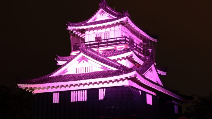 浜松城ライトアップ
