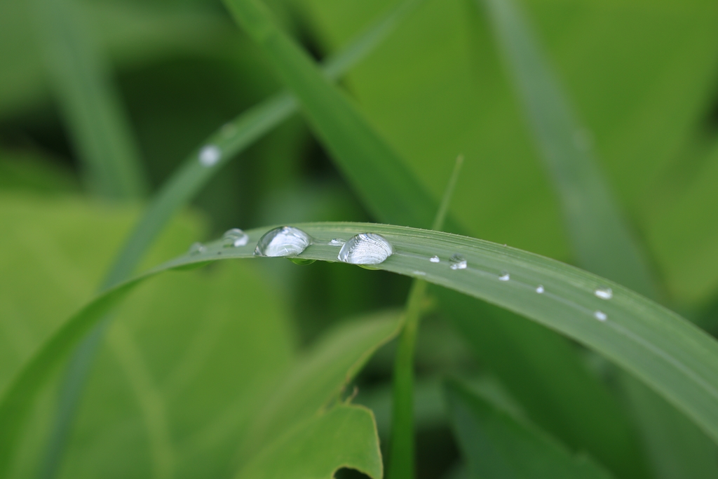 水滴