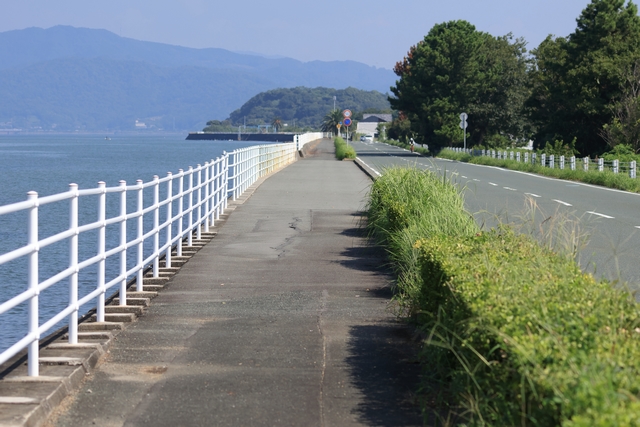 浜名湖沿いの歩道