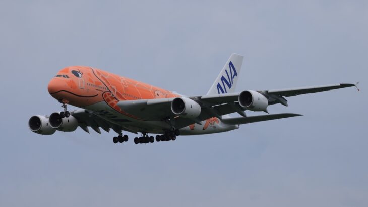 ひこうきの丘（成田空港）