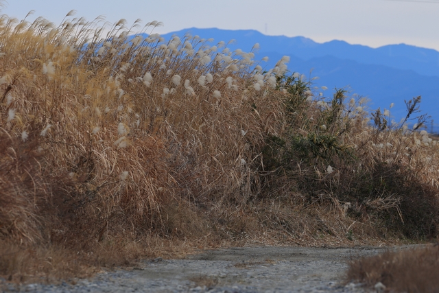 河川敷