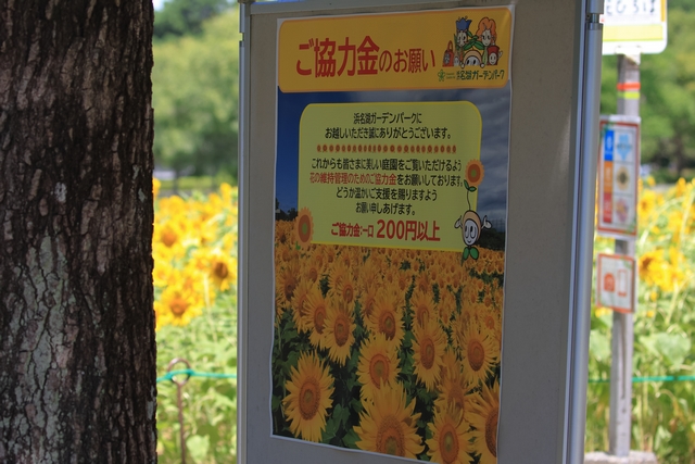 看板