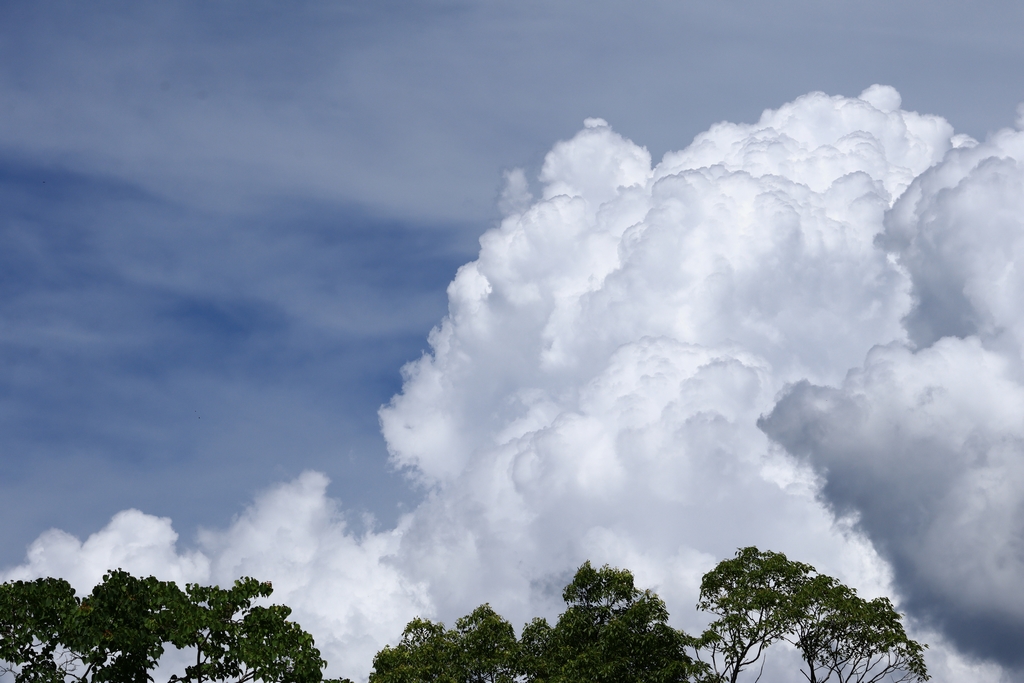 雲