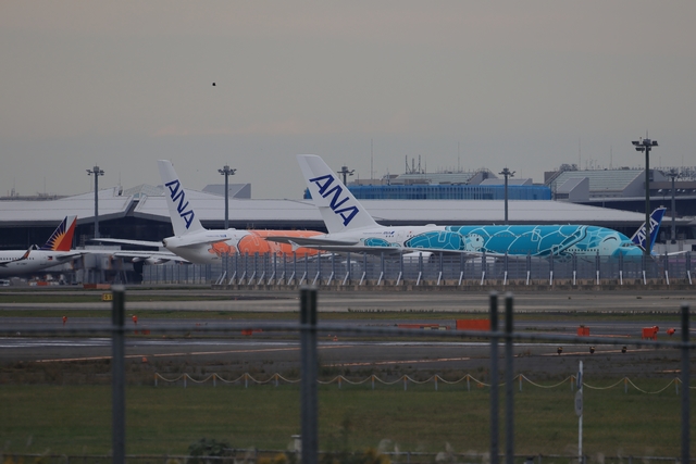 FLYING HONU（フライングホヌ）