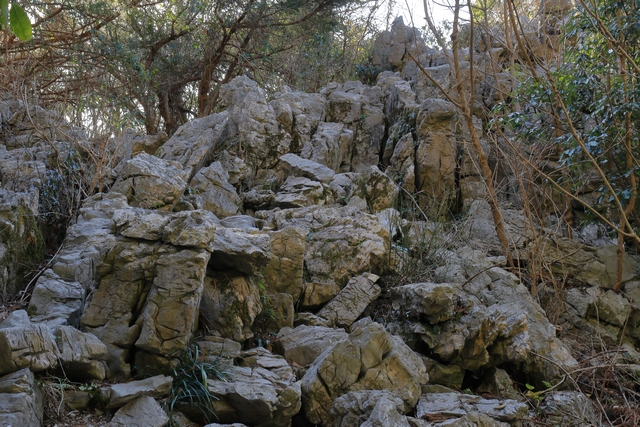 立須の岩峰への道
