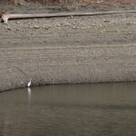 いなさ湖（2月上旬）