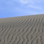 中田島砂丘（4月中旬）