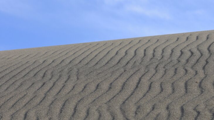 中田島砂丘の風紋