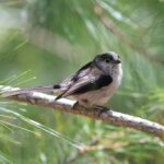 森林公園（4月下旬）