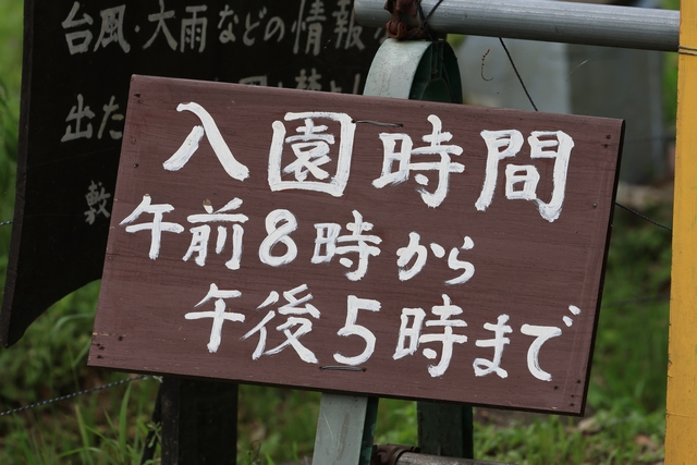 入園時間