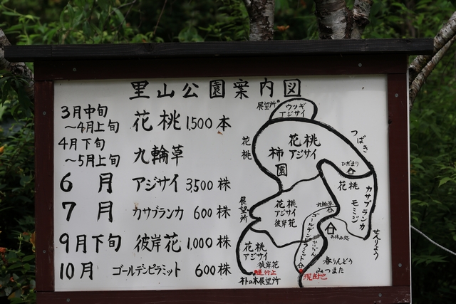 案内図