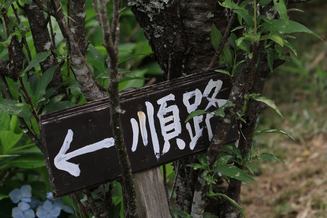 順路