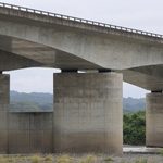 天竜川河川敷（7月上旬）