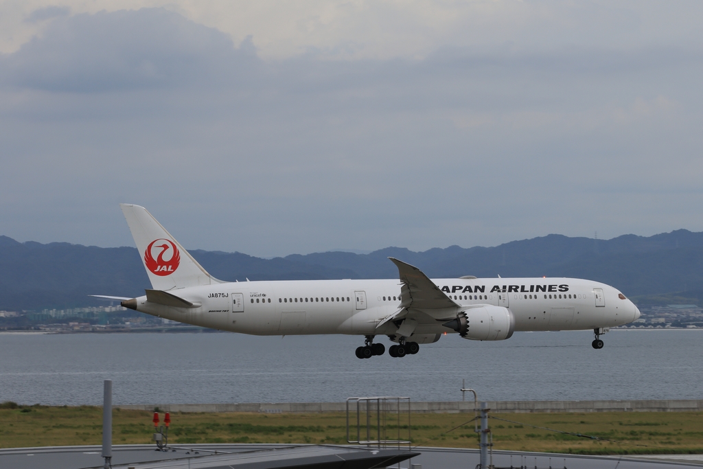 Boeing 787