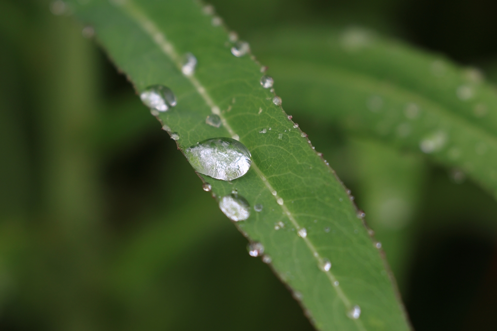 水滴