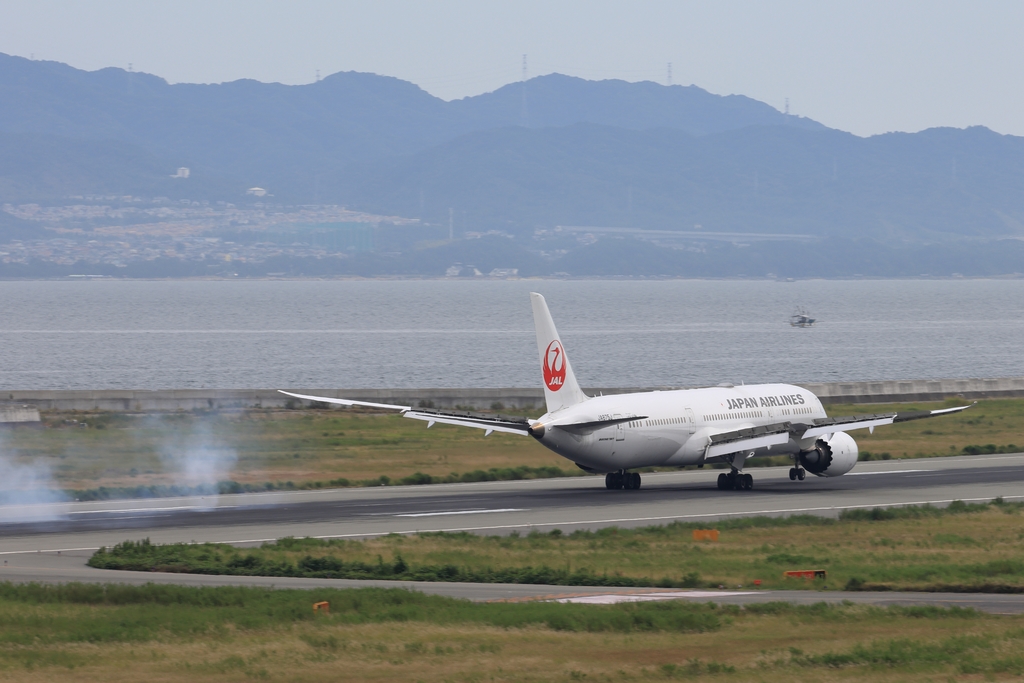 Boeing 787
