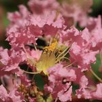 森林公園（8月下旬）