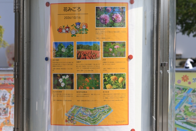 花みごろの看板