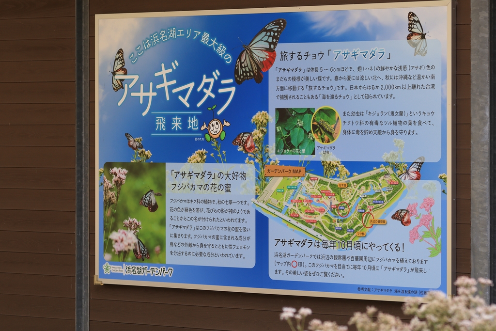 アサギマダラの看板