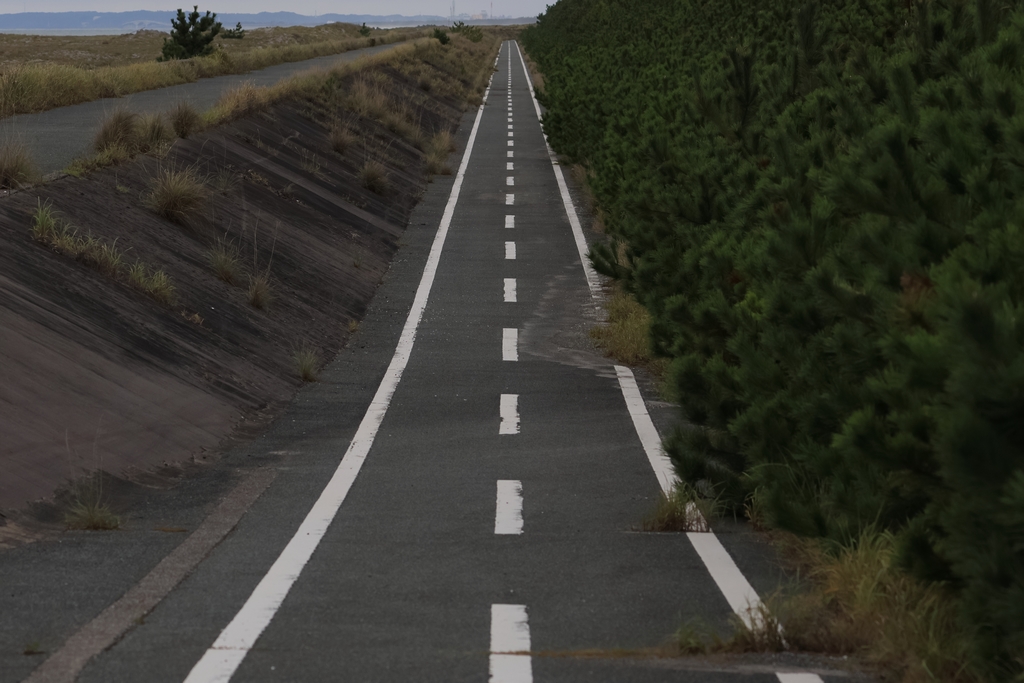 自転車道