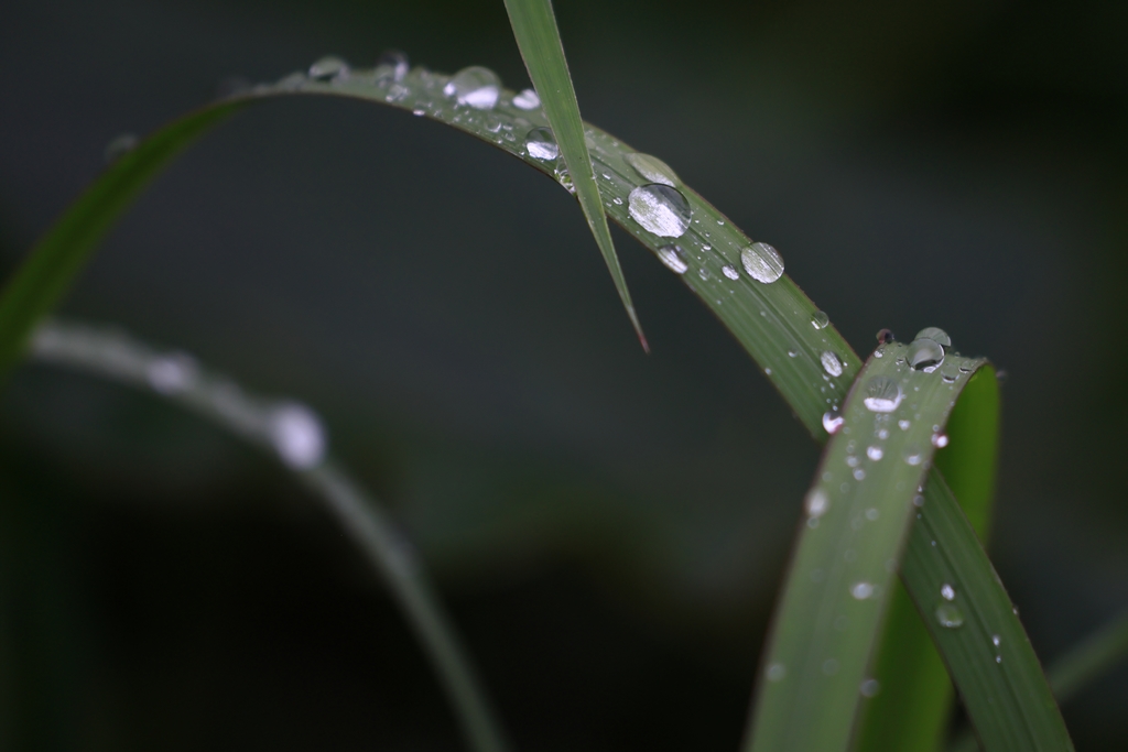 水滴